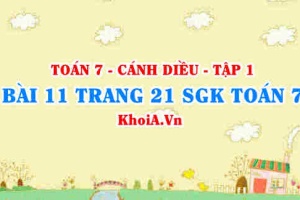 Bài 11 trang 21 SGK Toán 7 tập 1 Cánh Diều